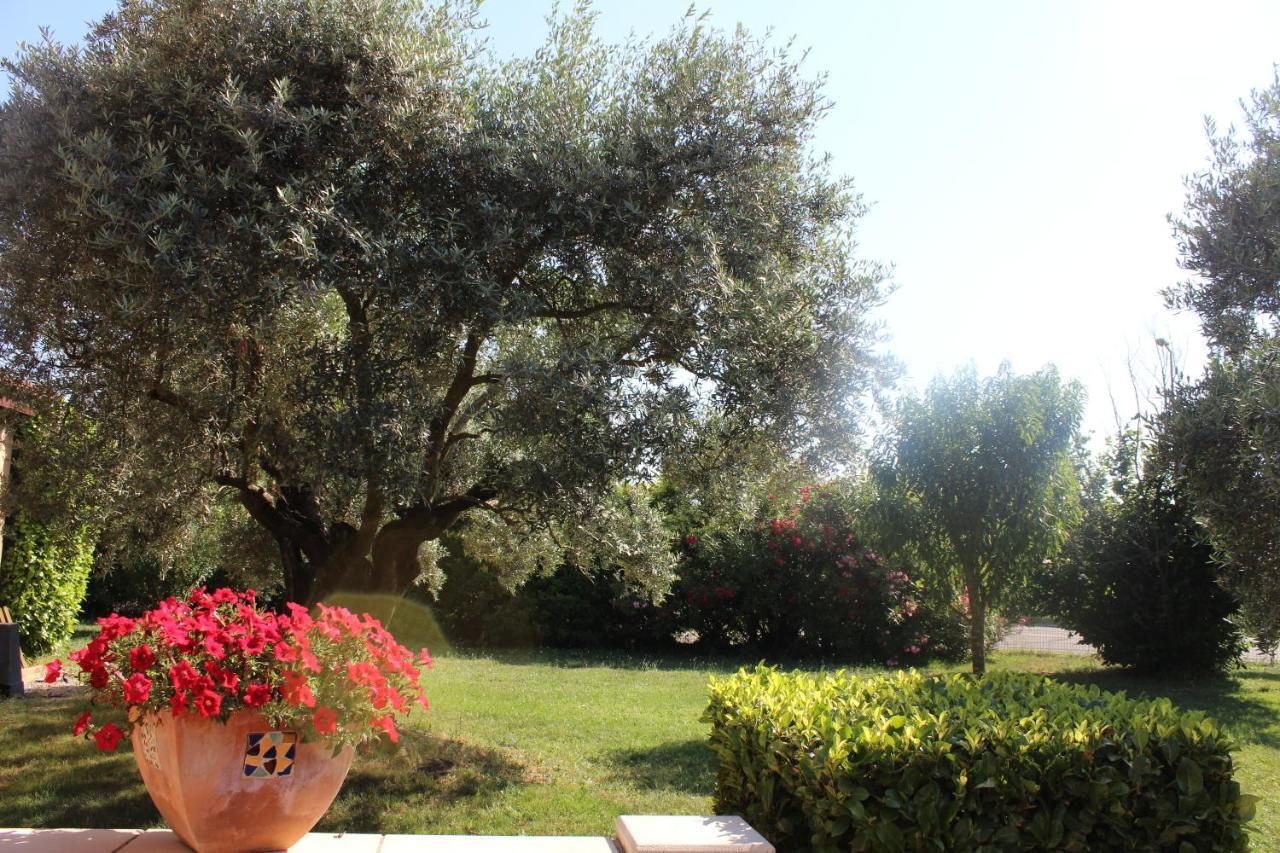 Logis La Grande Bastide Hotel Oraison Buitenkant foto